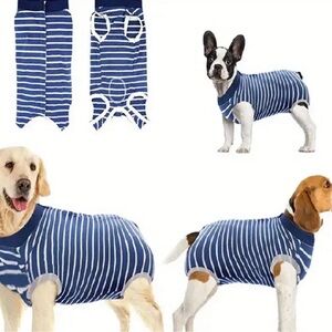 Dog recovery shirt